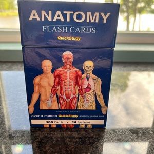 Anatomy Study flashcards